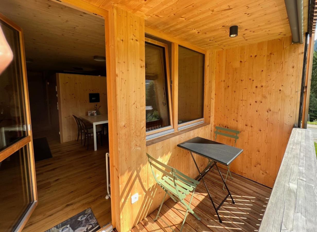 Eiler - Apartment Mellau