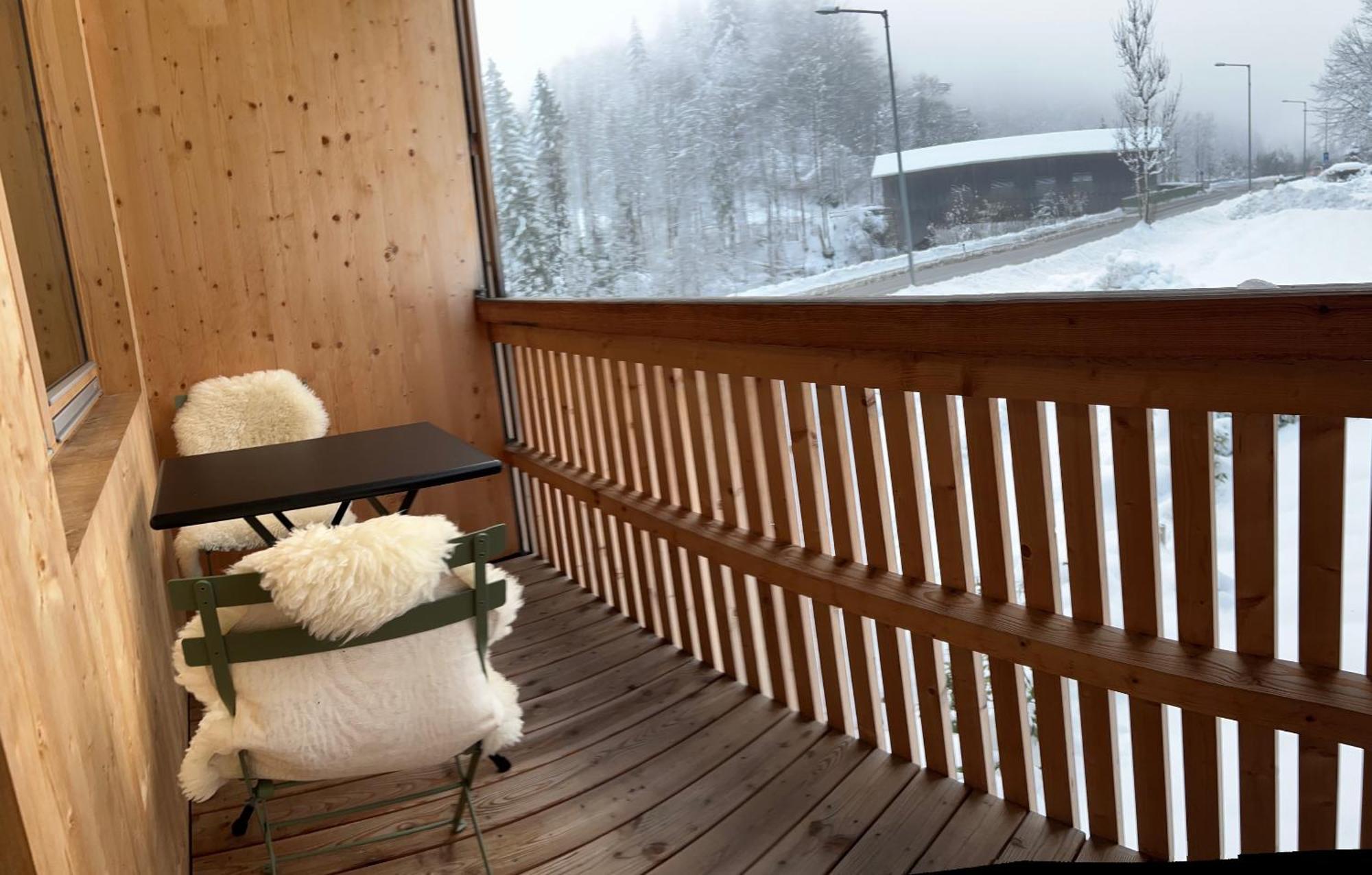 Eiler - Apartment Mellau